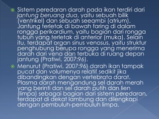 



Sistem peredaran darah pada ikan terdiri dari
jantung beruang dua, yaitu sebuah bilik
(ventrikel) dan sebuah seeambi (atrium).
Jantung terletak di bawah faring di dalam
rongga perikardium, yaitu bagian dari rongga
tubuh yang terletak di anterior (muka). Selain
itu, terdapat organ sinus venosus, yaitu struktur
penghubung berupa rongga yang menerima
darah dari vena dan terbuka di ruang depan
jantung (Pratiwi, 2007:96).
Menurut (Pratiwi, 2007:96) darah ikan tampak
pucat dan volumenya relatif sedikit jika
dibandingkan dengan vertebrata darat.
Plasma darah mengandung sel darah merah
yang berinti dan sel darah putih dan lien
(limpa) sebagai bagian dari sistem peredaran,
terdapat di dekat lambung dan dilengkapi
dengan pembuluh-pembuluh limpa.

 