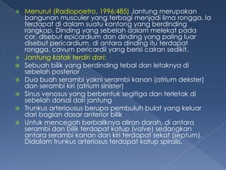 








Menurut (Radiopoetro, 1996:485) Jantung merupakan
bangunan musculer yang terbagi menjadi lima rongga. Ia
terdapat di dalam suatu kantong yang berdinding
rangkap. Dinding yang sebelah dalam melekat pada
cor, disebut epicardium dan dinding yang paling luar
disebut pericardium, di antara dinding itu terdapat
rongga, cavum pericardii yang berisi cairan sedikit.
Jantung katak terdiri dari:
Sebuah bilik yang berdinding tebal dan letaknya di
sebelah posterior
Dua buah serambi yakni serambi kanan (atrium dekster)
dan serambi kiri (atrium sinister)
Sinus venosus yang berbentuk segitiga dan terletak di
sebelah dorsal dari jantung
Trunkus arteriousus berupa pembuluh bulat yang keluar
dari bagian dasar anterior bilik
Untuk mencegah berbaliknya aliran darah, di antara
serambi dan bilik terdapat katup (valve) sedangkan
antara serambi kanan dan kiri terdapat sekat (septum).
Didalam trunkus arteriosus terdapat katup spiralis.

 