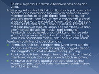 Pembuluh-pembuluh darah dibedakan atas arteri dan
vena.
Arteri yang keluar dari bilik kiri dan tiga buah yaitu dua arteri
anonim yang bercabang lagi menjadi arteri-arteri yang
memberi darah ke bagian kepala, otot terbang, dan
anggota depan, dan sebuah aorta merupakan sisa dari
arkus aortikus yang menuju ke Kanan (arkus aortikus yang
menuju ke kiri mereduksi). Pembuluh nadi ini kemudian
meligkari bronkus sebelah kanan dan membelok ke arah
ekor menjadi dorsalis (pembuluh nadi puggung).
Pembuluh nadi yang keluar dari bilik kanan hanya satu,
yakni arteri pulmonalis (pembuluh nadi paru-paru) yang
kemudian bercabang menuju paru-paru kiri dan kanan.
Pembuluh balik (vena) dibedakan atas:
 Pembuluh balik tubuh bagian atas (vena kava superior).
Vena ini membawa darah dari kepala, anggota depan,
dan anggota otot-otot pektoralis menuju jantung.
 Pembuluh balik tubuh bagian bawah (vena kava inferior):
membawa darah dari bagian bawah tubuh ke jantung
 Pembuluh balik yang datang dari paru-paru (pulmo)
kanan dan paru-paru kiri serta membawa darah menuju
serambi kiri jantung.

 