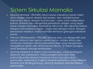 Menurut (Kimball, 1992:509) atrium kanan menerima darah miskin
akan oksigen (darah deoksi) dari badan, dan ventrikel kanan
memompa darah dengan kuat ke paru – paru untuk melepaskan
karbon dioksida dan mengambil persediaan oksigen yang segar.
Darah oksigen kemudian kembali ke atrium kiri, dan dipompa keluar
dengan kuat kesemua organ – organ dan jaringan tubuh. Dengan
pernyataan tersebut, maka mamalia termasuk golongan berdarah
panas.
 Menurut (Radiopoetra, 1996:580) jantung atau cor dibagi oleh dua
septum atriorum dan septum ventriculorum. Antara atrium dan
ventriculus terdapat valvula atrioventricularis yang menghindari
mengalirnya darah dari ventriculus ke atrium. Di dalam pangkal
aorta terdapat valvulae semilunares.
 Jantung terdapat di dalam suatu kandungan, yang dindingnya
dibentuk oleh perikardum. Pada pangkal aorta dan arteri
pulmonalis pada tempat masuknya vena cava dan vena
pumonales, perikardium melipat menjadi epikardium yang melapisi
dataran luar dinding jantung. Jantung terdapat diantara kedua
pulmonales.


 