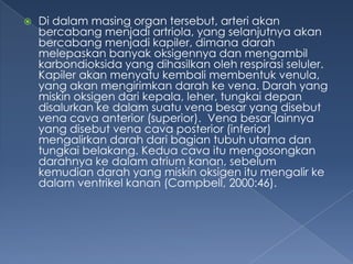 

Di dalam masing organ tersebut, arteri akan
bercabang menjadi artriola, yang selanjutnya akan
bercabang menjadi kapiler, dimana darah
melepaskan banyak oksigennya dan mengambil
karbondioksida yang dihasilkan oleh respirasi seluler.
Kapiler akan menyatu kembali membentuk venula,
yang akan mengirimkan darah ke vena. Darah yang
miskin oksigen dari kepala, leher, tungkai depan
disalurkan ke dalam suatu vena besar yang disebut
vena cava anterior (superior). Vena besar lainnya
yang disebut vena cava posterior (inferior)
mengalirkan darah dari bagian tubuh utama dan
tungkai belakang. Kedua cava itu mengosongkan
darahnya ke dalam atrium kanan, sebelum
kemudian darah yang miskin oksigen itu mengalir ke
dalam ventrikel kanan (Campbell, 2000:46).

 