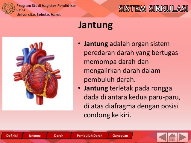 Sistem Sirkulasi Dengan Video Pembelajaran