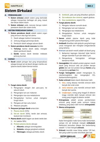 BIO 2
1
materi78.co.nr
SISTEM SIRKULASI
Sistem Sirkulasi
A. PENDAHULUAN
Sistem sirkulasi adalah sistem yang bertindak
sebagai transportasi berbagai zat yang masuk
dan keluar dalam tubuh.
Sistem sirkulasi pada manusia berupa sistem
peredaran darah dan sistem limfa.
B. SISTEM PEREDARAN DARAH
Sistem peredaran darah adalah sistem organ
yang tersusun atas tiga hal utama:
1) Darah sebagai medium transportasi,
2) Jantung sebagai pemompa darah,
3) Pembuluh darah sebagai saluran darah.
Sistem peredaran darah manusia bersifat:
1) Tertutup karena darah selalu mengalir
dalam pembuluh darah.
2) Ganda karena darah beredar melewati
jantung dua kali.
C. DARAH
Darah adalah jaringan ikat yang terspesialisasi
sebagai tempat sel-sel darah dengan matriks cair
(plasma darah) dalam bentuk koloid.
Fungsi utama darah:
1) Mengangkut oksigen dari paru-paru ke
seluruh tubuh.
2) Mengangkut sari-sari makanan.
3) Mengangkut sisa-sisa metabolisme.
4) Mengedarkan hormon untuk mengatur
fungsi tubuh.
5) Mengatur pH dan suhu tubuh.
6) Melawan penyakit.
Penyusun jaringan darah antara lain:
1) Plasma darah (55%)
2) Sel-sel darah (45%), terdiri dari eritrosit,
leukosit dan trombosit.
Plasma darah adalah bagian cair darah, terdiri dari:
1) Air (sekitar 90%)
2) Protein plasma darah, berupa:
a. Albumin, sebagai osmoregulator.
b. Globulin, sebagai penghasil antibodi.
c. Fibrinogen, sebagai pembeku darah.
3) Antibodi, yaitu zat yang dihasilkan globulin.
4) Zat makanan dan mineral, seperti glukosa.
5) Sisa metabolisme, seperti CO2.
Fungsi plasma darah:
1) Mengatur tekanan osmotik darah.
2) Mengangkut sari-sari makanan.
3) Mengangkut sisa metabolisme.
4) Mengedarkan hormon untuk mengatur
fungsi tubuh.
Serum adalah plasma darah yang tidak
mengandung protein plasma fibrinogen.
Antibodi dihasilkan oleh globulin yang berfungsi
untuk mengenali dan mengikat antigen/benda
asing tertentu.
Eritrosit (sel darah merah) adalah sel darah yang:
1) Berbentuk kepingan bikonkaf tidak berinti
dengan diameter 8 μm dan tebal 2 μm.
2) Mengandung hemoglobin sehingga
berwarna merah.
Hemoglobin (Hb) adalah protein pigmen merah
darah yang tersusun atas zat protein berupa
globin dan zat non-protein berupa hemin yang
mengandung zat besi (Fe).
Fungsi hemoglobin adalah mengangkut O2
(oksihemoglobin) dan mengangkut CO2
(karbaminohemoglobin).
Kadar eritrosit dalam darah ditentukan oleh:
1) Usia, orang dewasa memiliki eritrosit lebih
banyak dari anak-anak.
2) Jenis kelamin, pria memiliki eritrosit lebih
banyak dari wanita.
3) Lingkungan, orang yang tinggal di dataran
tinggi memiliki lebih banyak eritrosit dari
orang yang tinggal di dataran rendah.
Eritropoiesis adalah proses pembentukan
eritrosit yang terjadi pada sumsum tulang
belakang, yang diatur oleh hormon eritropoietin.
Skema eritropoiesis:
Kadar hemoglobin makin lama makin bertambah,
sampai inti sel terdesak menjadi retikulosit.
Retikulosit kemudian dilepas dan berkembang
setelah 1-2 hari menjadi eritrosit.
Eritrosit memiliki masa hidup sekitar 120 hari,
dan yang sudah tua akan dirombak oleh hati.
plasma darah
leukosit &
trombosit
eritrosit
proeritroblas
ortokromatik
eritroblas
retikulosit eritrosit
 