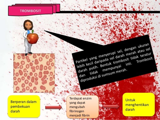 SISTEM PEREDARAN DARAH MANUSIA DAN HEWAN