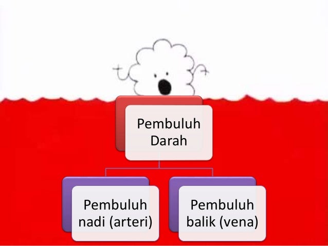 SISTEM PEREDARAN DARAH MANUSIA DAN HEWAN