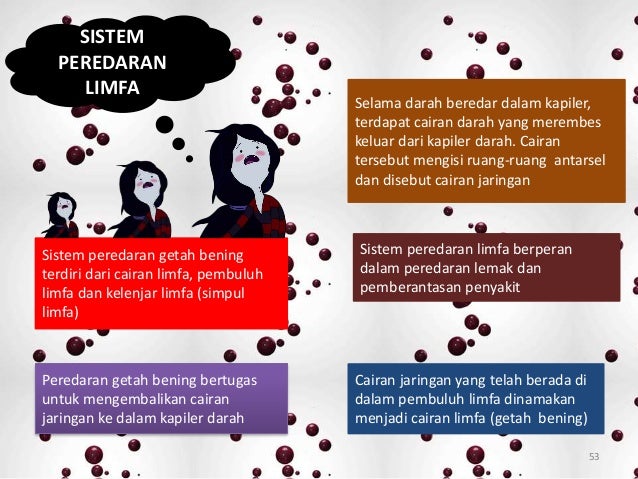 SISTEM PEREDARAN DARAH MANUSIA DAN HEWAN