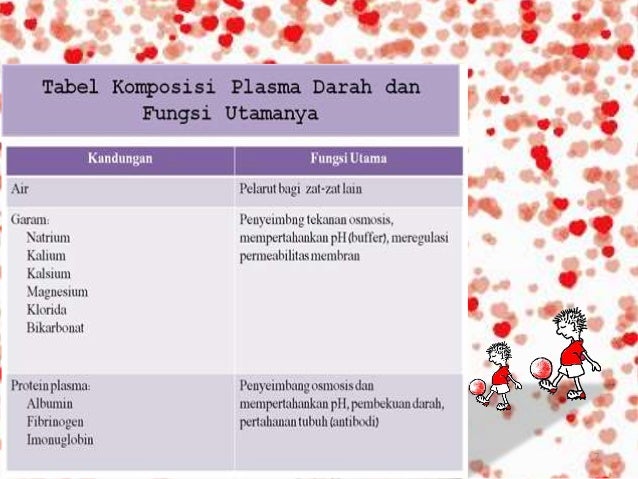 Sistem Peredaran Darah Manusia Dan Hewan