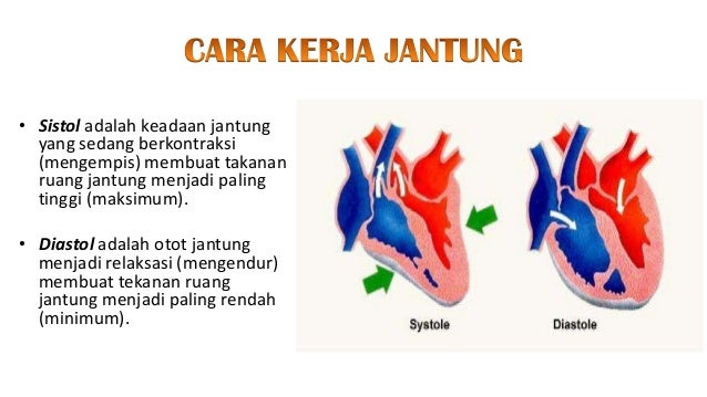 Image Result For Plasma Darah Image Result For Plasma Darah