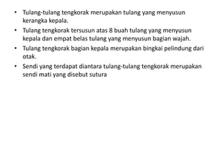 • Tulang-tulang tengkorak merupakan tulang yang menyusun
kerangka kepala.
• Tulang tengkorak tersusun atas 8 buah tulang yang menyusun
kepala dan empat belas tulang yang menyusun bagian wajah.
• Tulang tengkorak bagian kepala merupakan bingkai pelindung dari
otak.
• Sendi yang terdapat diantara tulang-tulang tengkorak merupakan
sendi mati yang disebut sutura
 