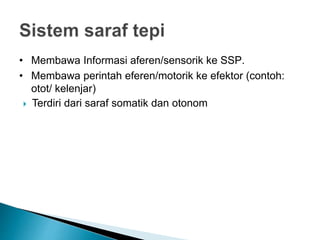 • Membawa Informasi aferen/sensorik ke SSP.
• Membawa perintah eferen/motorik ke efektor (contoh:
otot/ kelenjar)
 Terdiri dari saraf somatik dan otonom
 
