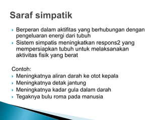  Berperan dalam aktifitas yang berhubungan dengan
pengeluaran energi dari tubuh
 Sistem simpatis meningkatkan respons2 yang
mempersiapkan tubuh untuk melaksanakan
aktivitas fisik yang berat
Contoh:
 Meningkatnya aliran darah ke otot kepala
 Meningkatnya detak jantung
 Meningkatnya kadar gula dalam darah
 Tegaknya bulu roma pada manusia
 