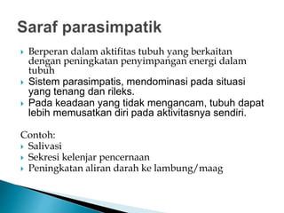  Berperan dalam aktifitas tubuh yang berkaitan
dengan peningkatan penyimpangan energi dalam
tubuh
 Sistem parasimpatis, mendominasi pada situasi
yang tenang dan rileks.
 Pada keadaan yang tidak mengancam, tubuh dapat
lebih memusatkan diri pada aktivitasnya sendiri.
Contoh:
 Salivasi
 Sekresi kelenjar pencernaan
 Peningkatan aliran darah ke lambung/maag
 