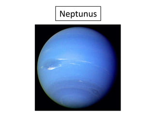 Neptunus
 