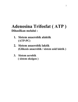 2




Adenosina Trifosfat ( ATP )
Dihasilkan melalui :

 1. Sistem anaerobik alaktik
     (ATP-PC)
 2. Sistem anaerobik laktik
     (Glikosis anaerobik / sistem asid laktik )

 3. Sistem aerobik
    ( sistem oksigen )
 