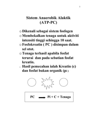 3




    Sistem Anaerobik Alaktik
           (ATP-PC)

o Dikenali sebagai sistem fosfogen
o Membekalkan tenaga untuk aktiviti
  intensiti tinggi sehingga 10 saat.
o Fosfokreatin ( PC ) disimpan dalam
  sel otot.
o Tenaga terhasil apabila fosfat
  terurai dan pada sebatian fosfat
  kreatin.
o Hasil pemecahan ialah Kreatin (c)

  dan fosfat bukan organik (pi )




      PC         Pi + C + Tenaga
 