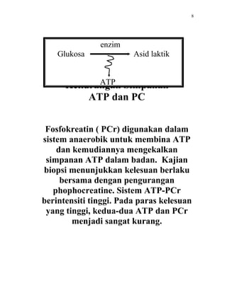 8




               enzim
    Glukosa             Asid laktik


            ATP
      Kekurangan Simpanan
          ATP dan PC


 Fosfokreatin ( PCr) digunakan dalam
sistem anaerobik untuk membina ATP
    dan kemudiannya mengekalkan
 simpanan ATP dalam badan. Kajian
biopsi menunjukkan kelesuan berlaku
     bersama dengan pengurangan
   phophocreatine. Sistem ATP-PCr
berintensiti tinggi. Pada paras kelesuan
 yang tinggi, kedua-dua ATP dan PCr
        menjadi sangat kurang.
 