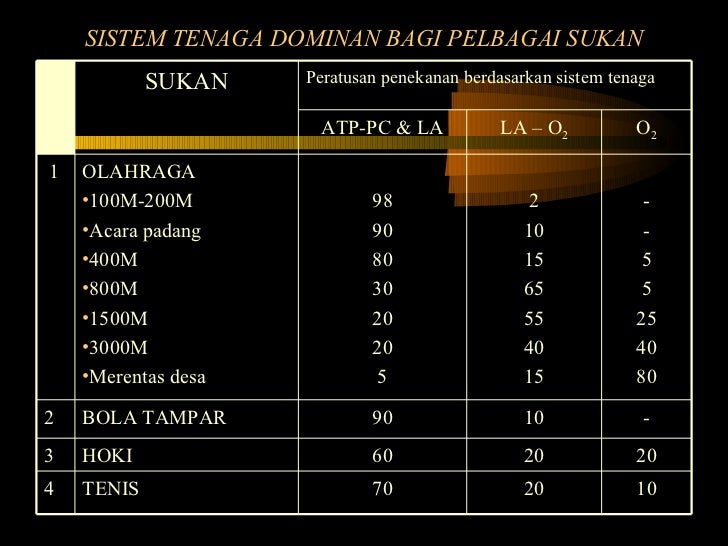 Sistem Tenaga Sains Sukan