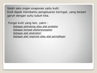 Salah satu organ evaporasi yaitu kulit.
Kulit dapat membantu pengeluaran keringat, yang berpen
garuh dengan suhu tubuh kita.
Fungsi kulit yang lain, yakni :
◦ Sebagai pelindung atau alat proteksi
◦ Sebagai tempat eksteroreseptor
◦ Sebagai alat ekskretori
◦ Sebagai alat respirasi atau alat pernafasan
 