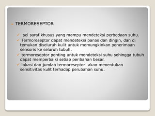  TERMORESEPTOR
 sel saraf khusus yang mampu mendeteksi perbedaan suhu.
 Termoreseptor dapat mendeteksi panas dan dingin, dan di
temukan diseluruh kulit untuk memungkinkan penerimaan
sensoris ke seluruh tubuh.
 termoreseptor penting untuk mendeteksi suhu sehingga tubuh
dapat memperbaiki setiap peribahan besar.
 lokasi dan jumlah termoreseptor akan menentukan
sensitivitas kulit terhadap perubahan suhu.
 