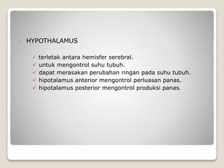  HYPOTHALAMUS
 terletak antara hemisfer serebral.
 untuk mengontrol suhu tubuh.
 dapat merasakan perubahan ringan pada suhu tubuh.
 hipotalamus anterior mengontrol perluasan panas.
 hipotalamus posterior mengontrol produksi panas.
 
