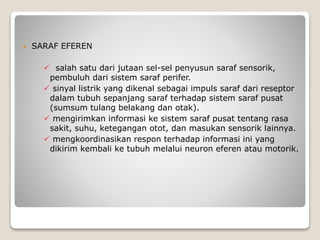  SARAF EFEREN
 salah satu dari jutaan sel-sel penyusun saraf sensorik,
pembuluh dari sistem saraf perifer.
 sinyal listrik yang dikenal sebagai impuls saraf dari reseptor
dalam tubuh sepanjang saraf terhadap sistem saraf pusat
(sumsum tulang belakang dan otak).
 mengirimkan informasi ke sistem saraf pusat tentang rasa
sakit, suhu, ketegangan otot, dan masukan sensorik lainnya.
 mengkoordinasikan respon terhadap informasi ini yang
dikirim kembali ke tubuh melalui neuron eferen atau motorik.
 