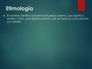 Etimología


El nombre científico proviene del griego sperma, que significa
semilla, y fiton, que significa planta, que se traduce como plantas
con semilla.

 