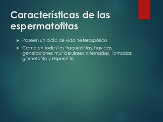 Características de las
espermatofitas


Poseen un ciclo de vida heterospórico



Como en todas las traqueofitas, hay dos
generaciones multicelulares alternadas, llamadas
gametofito y esporofito

 