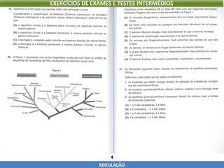 4
REGULAÇÃO
EXERCÍCIOS DE EXAMES E TESTES INTERMÉDIOS
 