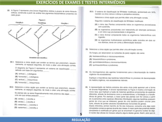 5
REGULAÇÃO
EXERCÍCIOS DE EXAMES E TESTES INTERMÉDIOS
 