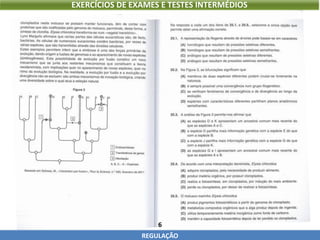 6
REGULAÇÃO
EXERCÍCIOS DE EXAMES E TESTES INTERMÉDIOS
 