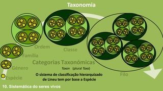 Taxonomia
Taxon (plural Taxa)
O sistema de classificação hierarquizado
de Lineu tem por base a Espécie
Género
Espécie
Ordem
Família
Categorias Taxonómicas
Classe
10. Sistemática do seres vivos
Filo
 