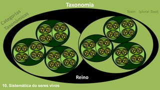 Taxonomia
Taxon
10. Sistemática do seres vivos
(plural Taxa)
Reino
 