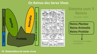 Os Reinos dos Seres Vivos
Sistema com 3
Reinos
(Haeckel 1856)
Reino Plantae
Reino Animalia
Reino Protista
Inclui bactérias, fungos e
protozoários
Multicelular
Unicelular
10. Sistemática do seres vivos
Aumento
de
complexidade
estrutural
 