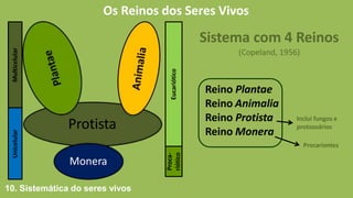 Os Reinos dos Seres Vivos
Sistema com 4 Reinos
(Copeland, 1956)
Reino Plantae
Reino Animalia
Reino Protista
Reino Monera
Inclui fungos e
protozoários
Procariontes
Protista
Monera
Multicelular
Unicelular
Eucariótico
Proca-
riótico
10. Sistemática do seres vivos
 