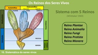 Os Reinos dos Seres Vivos
Sistema com 5 Reinos
(Whittaker 1969)
Reino Plantae
Reino Animalia
Reino Fungi
Reino Protista
Reino Monera
Multicelular
Unicelular
Eucariótico
Proca-
riótico
Autotrófico Heterotrófico
Absorção Ingestão
10. Sistemática do seres vivos
 