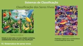 Sistemas de Classificação
Sistemática
Estuda os seres vivos e as suas relações evolutivas,
estabelecendo sistemas para a sua classificação
Classificação dos Seres Vivos
Taxonomia
Estabelece regras para a nomenclatura
e classificação dos seres vivos
10. Sistemática do seres vivos
 