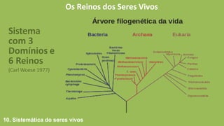 Os Reinos dos Seres Vivos
10. Sistemática do seres vivos
Sistema
com 3
Domínios e
6 Reinos
(Carl Woese 1977)
 