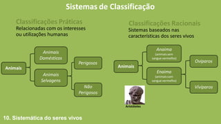 Sistemas de Classificação
Classificações Práticas
Relacionadas com os interesses
ou utilizações humanas
Classificações Racionais
Sistemas baseados nas
características dos seres vivos
Anaima
(animaissem
sangue vermelho)
Enaima
(animaiscom
sangue vermelho)
Ovíparos
Vívíparos
Animais
Animais
Domésticos
Animais
Selvagens
Perigosos
Não
Perigosos
Animais
Aristóteles
10. Sistemática do seres vivos
 