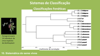 Sistemas de Classificação
Classificações Fenéticas
Fenograma para
14 individuos de
cinco espécies
de Zanthoxylum
Coeficiente de correlação
10. Sistemática do seres vivos
 