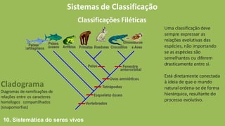 Sistemas de Classificação
Classificações Filéticas
Uma classificação deve
sempre expressar as
relações evolutivas das
espécies, não importando
se as espécies são
semelhantes ou diferem
drasticamente entre si.
Está diretamente conectada
à ideia de que o mundo
natural ordena-se de forma
hierárquica, resultante do
processo evolutivo.
Cladograma
Diagramas de ramificações de
relações entre os caracteres
homólogos compartilhados
(sinapomorfias)
10. Sistemática do seres vivos
 