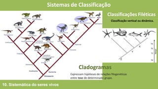 Sistemas de Classificação
Classificações Filéticas
Privilegia os caracteres directamente observáveis
ou morfológicos, numa informação primária de
características fenotípicas (características que
podem ser pesadas, medidas, numerados, etc.).
O factor tempo não é considerado.
Classificação horizontal ou estática.
Classificação vertical ou dinâmica.
10. Sistemática do seres vivos
Cladogramas
Expressam hipóteses de relações filogenéticas
entre taxa de determinado grupo.
 