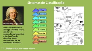 7.2. Sistemática do seres vivos
Sistemas de Classificação
Carl von Linné (1707-1778)
Lineu foi um botânico,
zoólogo e médico sueco,
criador da
nomenclatura binominal
e da classificação
científica, sendo
considerado 'pai da
taxonomia moderna'.
 