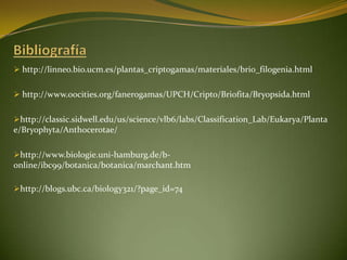  http://linneo.bio.ucm.es/plantas_criptogamas/materiales/brio_filogenia.html
 http://www.oocities.org/fanerogamas/UPCH/C...