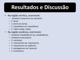 Resultados e Discussão
• Na região nerítica, ocorreram:
   –   Ceratium contortum var. karstenii,
   –   C. teres,
   –   C. furca var. furca,
   –   C. massiliense var. massiliense
   –   C. tripos subsp. tripos.
• Na região oceânica, ocorreram:
   –   Ceratium candelabrum var. candelabrum,
   –   Ceratium euarcuatum,
   –   C. carriense,
   –   C. macroceros var. macroceros,
   –   C. macroceros var. gallicum,
   –   C. pentagonum var. tenerum
   –   C. trichoceros.
 
