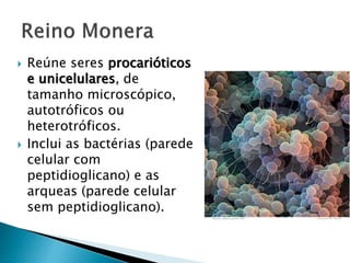  Reúne seres procarióticos
e unicelulares, de
tamanho microscópico,
autotróficos ou
heterotróficos.
 Inclui as bactérias (parede
celular com
peptidioglicano) e as
arqueas (parede celular
sem peptidioglicano).
 
