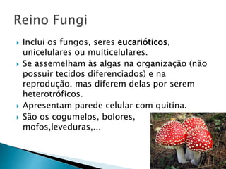  Inclui os fungos, seres eucarióticos,
unicelulares ou multicelulares.
 Se assemelham às algas na organização (não
possuir tecidos diferenciados) e na
reprodução, mas diferem delas por serem
heterotróficos.
 Apresentam parede celular com quitina.
 São os cogumelos, bolores,
mofos,leveduras,...
 