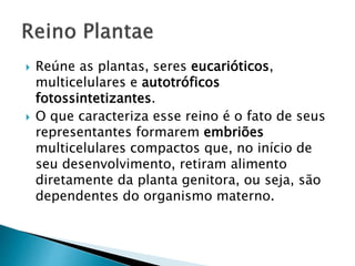  Reúne as plantas, seres eucarióticos,
multicelulares e autotróficos
fotossintetizantes.
 O que caracteriza esse reino é o fato de seus
representantes formarem embriões
multicelulares compactos que, no início de
seu desenvolvimento, retiram alimento
diretamente da planta genitora, ou seja, são
dependentes do organismo materno.
 