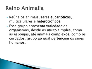  Reúne os animais, seres eucarióticos,
multicelulares e heterotróficos.
 Esse grupo apresenta variedade de
organismos, desde os muito simples, como
as esponjas, até animais complexos, como os
cordados, grupo ao qual pertencem os seres
humanos.
 