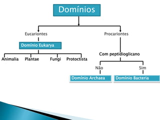 Eucariontes Procariontes
Domínio Eukarya
Animalia Plantae Fungi Protoctista
Com peptidioglicano
SimNão
Domínio Archaea Domínio Bacteria
Domínios
 
