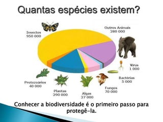 Quantas espécies existem?
Conhecer a biodiversidade é o primeiro passo para
protegê-la.
 